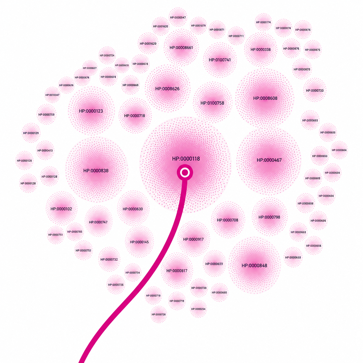 Visualização hierárquica de termos do HPO